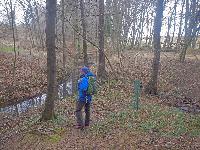Bild 15 (45 Bildaufrufe)