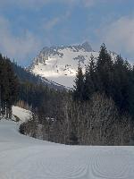 Bild 1 (69 Bildaufrufe)