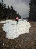 Bild 1 (68 Bildaufrufe)