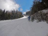 Bürgeralpe (76 Bildaufrufe)