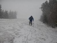 Bürgeralpe (76 Bildaufrufe)