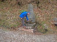 Bild 1 (79 Bildaufrufe)
