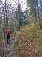 Bild 2 (91 Bildaufrufe)