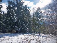 Bild 4 (77 Bildaufrufe)