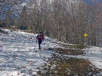 Bild 8 (83 Bildaufrufe)