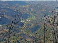 Bild 12 (77 Bildaufrufe)