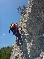 Falkenstein (76 Bildaufrufe)