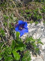 Bild 19 (97 Bildaufrufe)