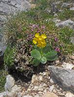 Bild 26 (90 Bildaufrufe)