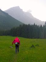 Bild 28 (90 Bildaufrufe)