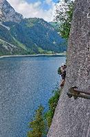 Bild 6 (123 Bildaufrufe)