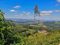 Bild 3 (75 Bildaufrufe)