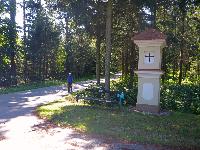 Silberne Birn (66 Bildaufrufe)