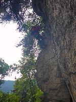 Bild 2 (64 Bildaufrufe)