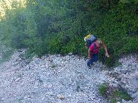 Bild 6 (77 Bildaufrufe)