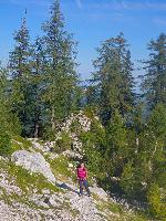 Bild 8 (75 Bildaufrufe)