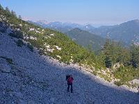 Bild 9 (80 Bildaufrufe)