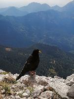 Bild 22 (87 Bildaufrufe)