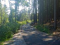 Bild 2 (68 Bildaufrufe)