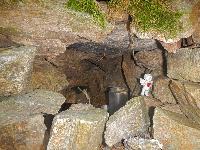 Bild 7 (74 Bildaufrufe)