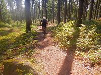 Bild 12 (69 Bildaufrufe)