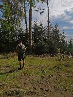 Bild 3 (69 Bildaufrufe)