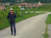 Bild 3 (56 Bildaufrufe)