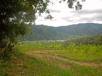 Bild 12 (53 Bildaufrufe)