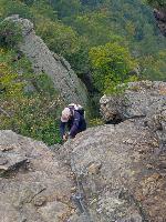 Bild 6 (62 Bildaufrufe)
