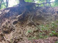 Bild 18 (57 Bildaufrufe)