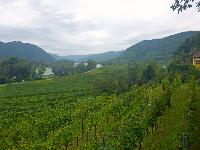 Bild 1 (66 Bildaufrufe)