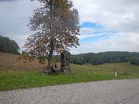 Sandl (68 Bildaufrufe)