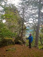 Bild 13 (69 Bildaufrufe)