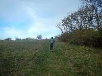 Bild 12 (54 Bildaufrufe)