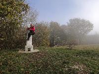 Bild 13 (50 Bildaufrufe)
