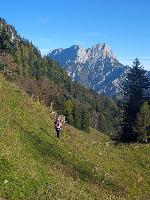 Bild 1 (101 Bildaufrufe)