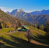 Bild 2 (115 Bildaufrufe)