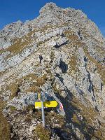 Bild 28 (117 Bildaufrufe)