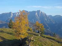 Bild 35 (100 Bildaufrufe)