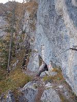 Bild 6 (103 Bildaufrufe)
