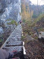 Bild 8 (96 Bildaufrufe)