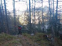 Bild 10 (93 Bildaufrufe)