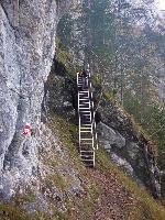 Bild 29 (78 Bildaufrufe)