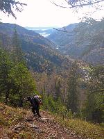 Bild 1 (90 Bildaufrufe)