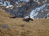 Bild 21 (85 Bildaufrufe)