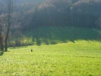 Bild 5 (49 Bildaufrufe)