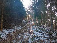 Bild 4 (80 Bildaufrufe)