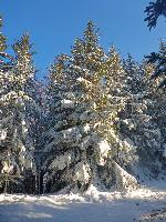 Bild 5 (83 Bildaufrufe)