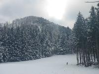 Hohenstein (82 Bildaufrufe)
