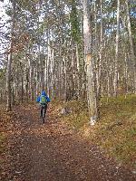 Bild 1 (38 Bildaufrufe)